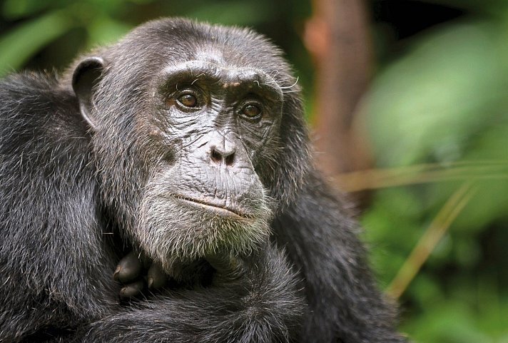 Stippvisite Uganda