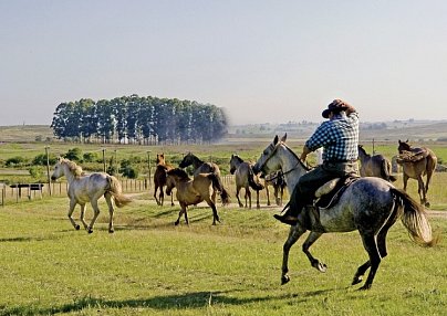 Unterwegs im Land der Gauchos Buenos Aires