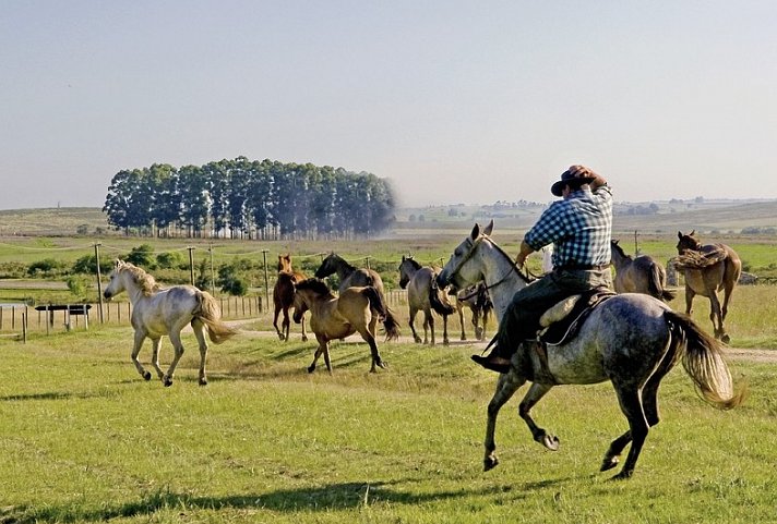 Unterwegs im Land der Gauchos