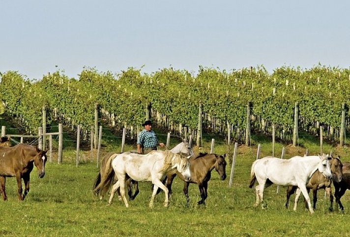 Unterwegs im Land der Gauchos