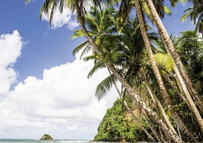 Inselabenteuer Martinique - Dominica - Guadeloupe Fort-de-France