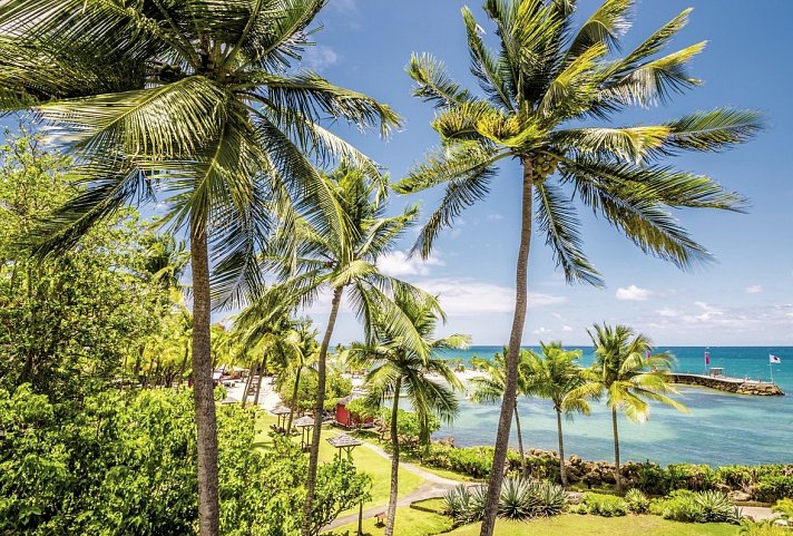 Inselabenteuer Martinique - Dominica - Guadeloupe