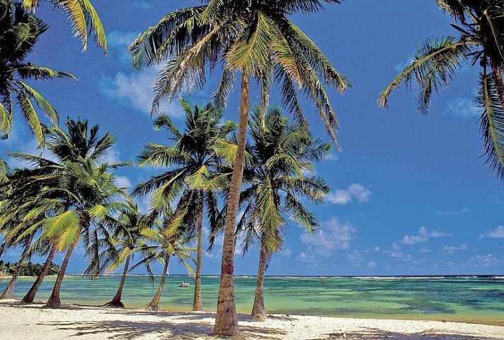 Inselabenteuer Martinique - Dominica - Guadeloupe