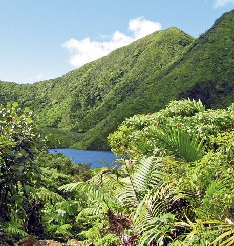 Inselabenteuer Martinique - Dominica - Guadeloupe