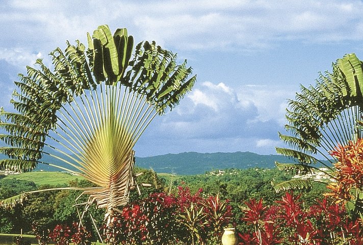 Paradiesische Inselwelten – Martinique & Saint Lucia