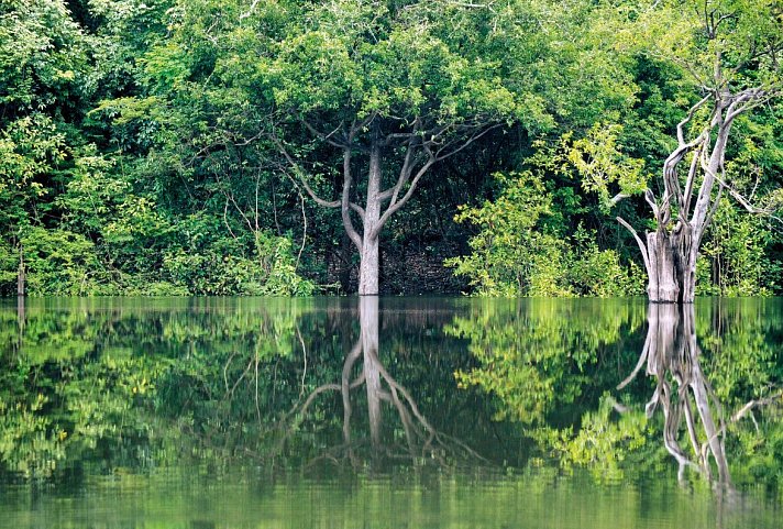 Samba, Goldrausch & Amazonas