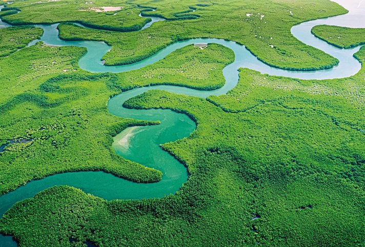 Samba, Goldrausch & Amazonas