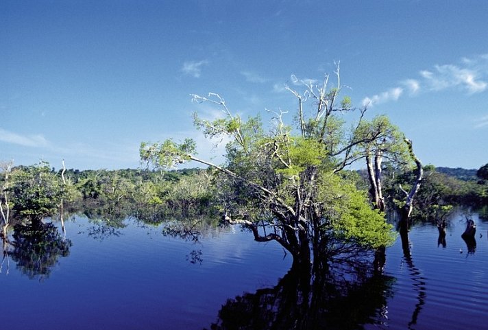 Brasilien Intensiv - Vom Amazonas bis nach Afrika