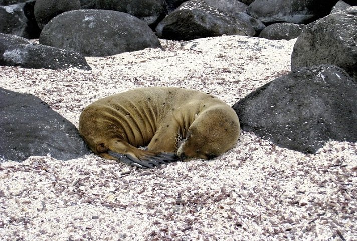 Galápagos Island Hopping