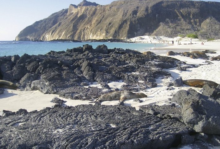 Galápagos Island Hopping