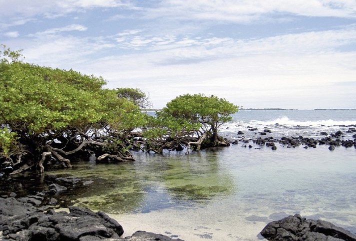 Galápagos Island Hopping