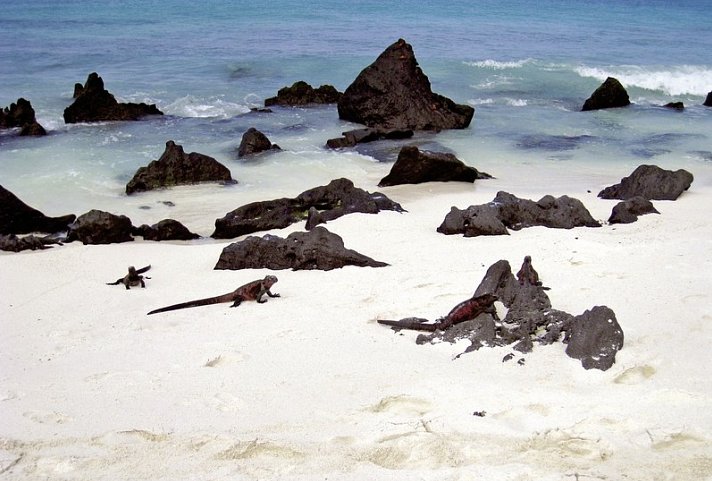 Galápagos Island Hopping