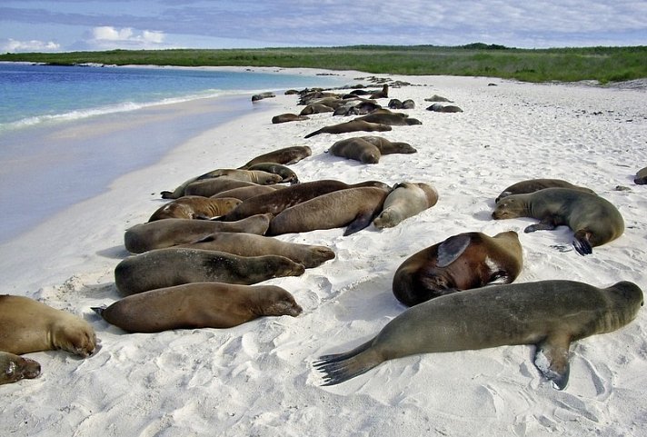 Galápagos Island Hopping