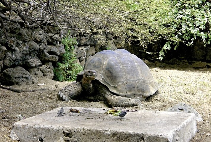 Galápagos Island Hopping