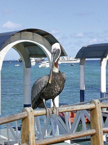 Ausflüge rund um Santa Cruz 3 Nächte