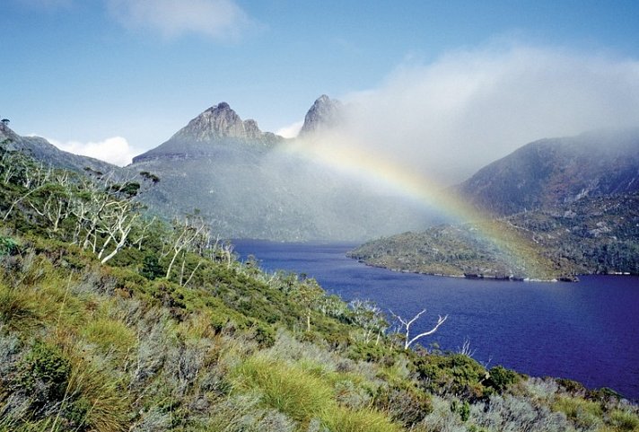 Tasmaniens Zauber auf 4 Rädern