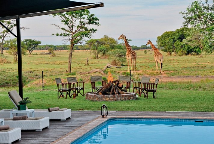 Culture and Wildlife