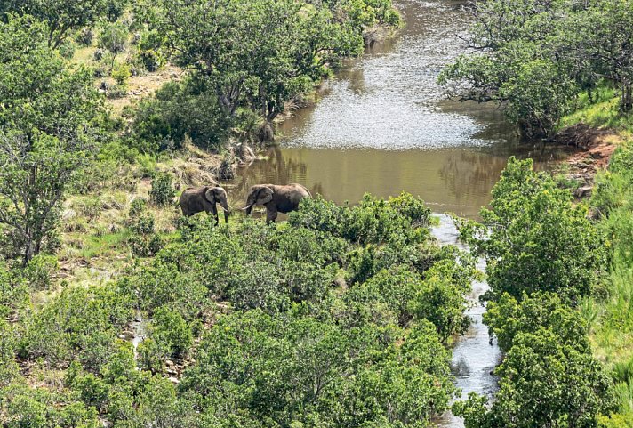 Culture and Wildlife