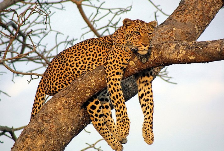 Exklusive Momente - ab Johannesburg