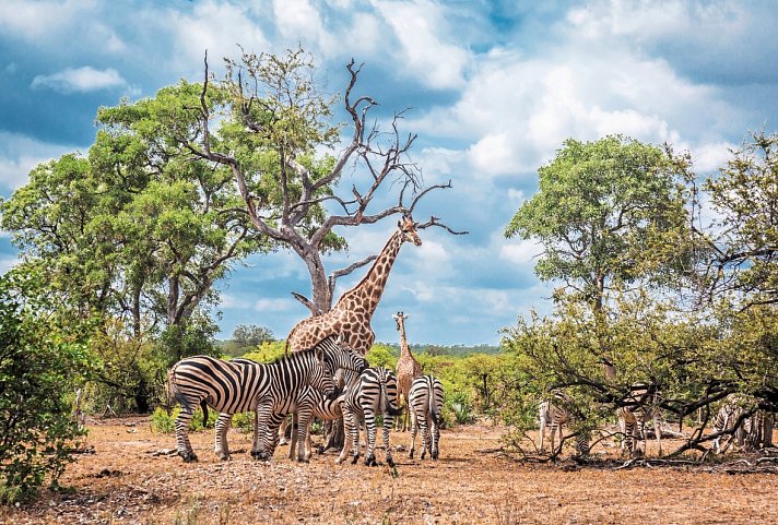 Stippvisite Südafrika