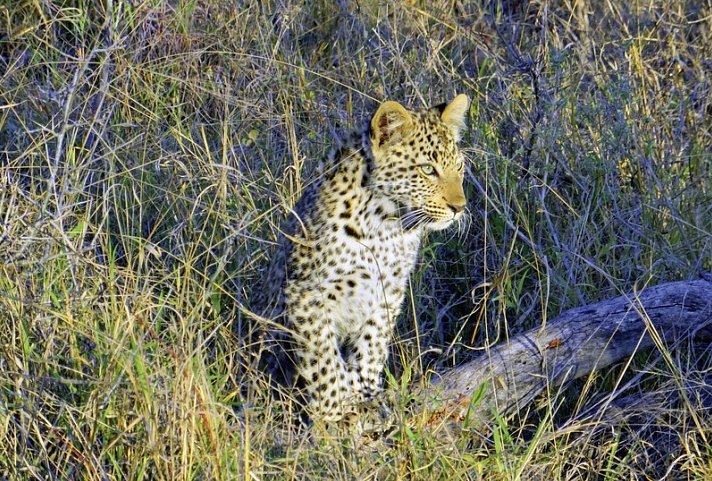 Höhepunkte Mpumalangas