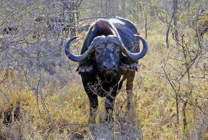 Höhepunkte Mpumalangas