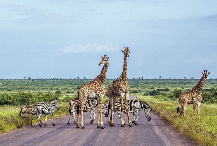 Mpumalanga - Im Reich der wilden Tiere