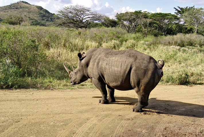 Best of South Africa von Johannesburg nach Kapstadt