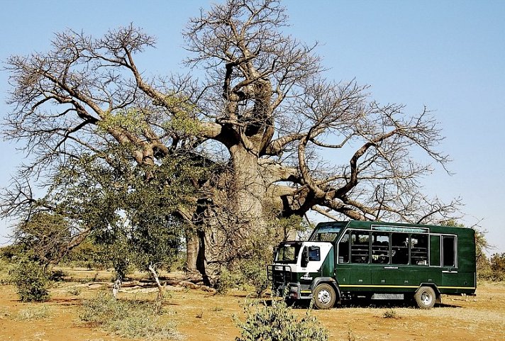 Drifters - Botswana Explorer 16 Nächte ab/bis Johannesburg