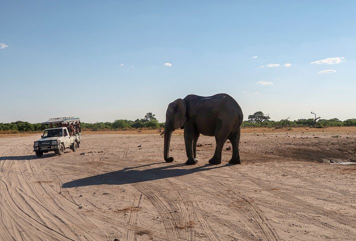 Drifters - Botswana Explorer 16 Nächte ab/bis Johannesburg