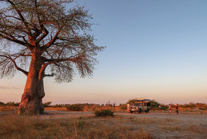 Drifters - Botswana Explorer 16 Nächte ab/bis Johannesburg