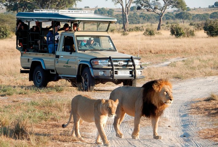 Drifters - Botswana Explorer 16 Nächte ab/bis Johannesburg