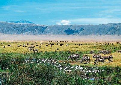 Tansania Pur Arusha