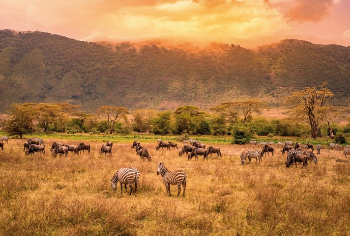 Naturwunder Tansanias & Welterbe Sansibar