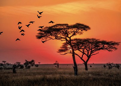 Naturwunder Tansanias & Welterbe Sansibar Arusha