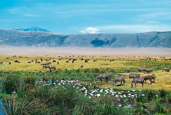 Kultur und Safari