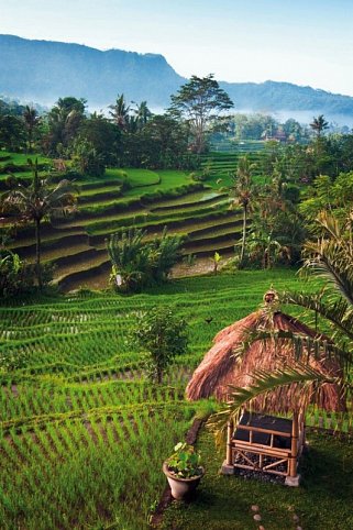 Schätze Indonesiens (Gruppenreise)