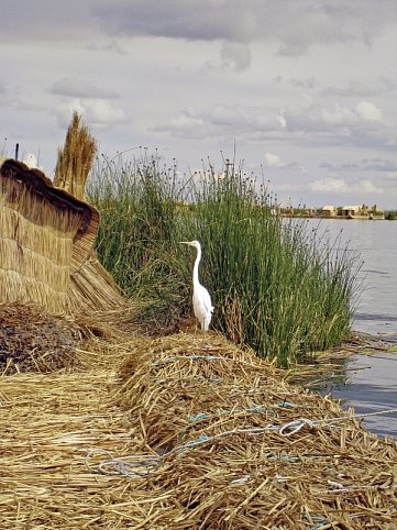 Inkazentren, Kolonialpracht & einzigartige Naturschauspiele
