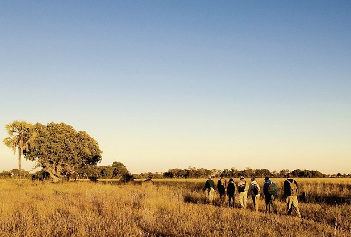 Botswana - im Herzen Afrikas ab Zambia