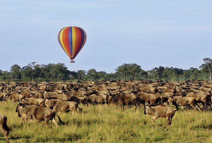 Masai Mara Fly-In Safari Premium ab/bis Mombasa