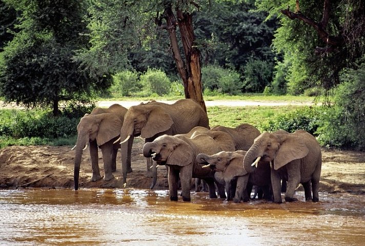 Masai Mara Fly-In Safari Premium ab/bis Mombasa