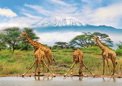 Die große Kenia Safari Mombasa