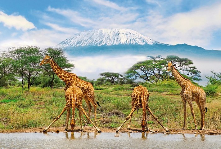 Die große Kenia Safari