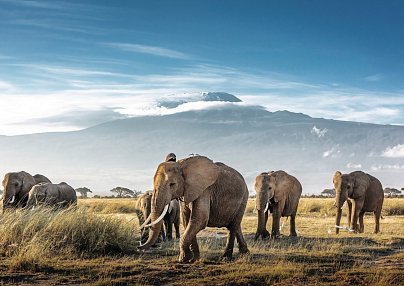 Karibu Kenia (Privatreise) Mombasa