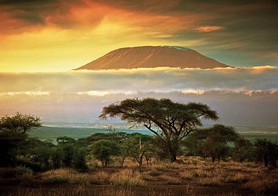 Tsavo & Amboseli Mombasa