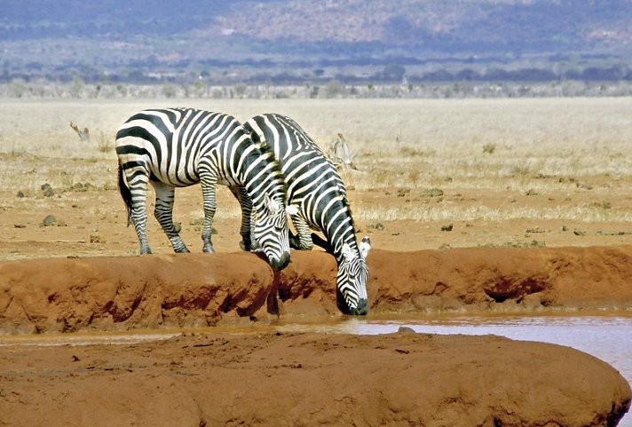 Tsavo & Amboseli