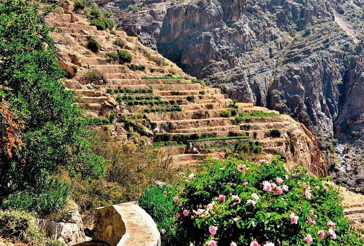 Abenteuer Oman Gruppenreise im Geländewagen