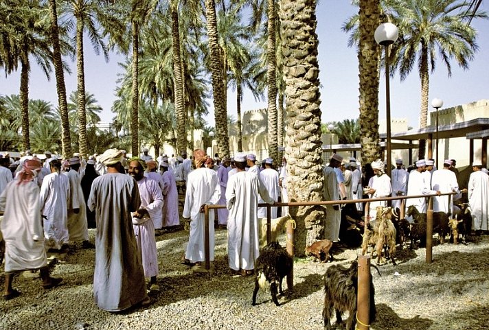 Oman erfahren mit Chauffeur - Mit dem Allrad durch grandiose Landschaften