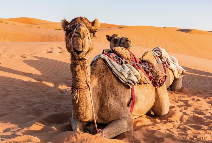 Oman erfahren mit Chauffeur - Mit dem Allrad durch grandiose Landschaften