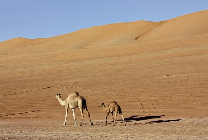 Kontrastreicher Oman zum Selbstfahren